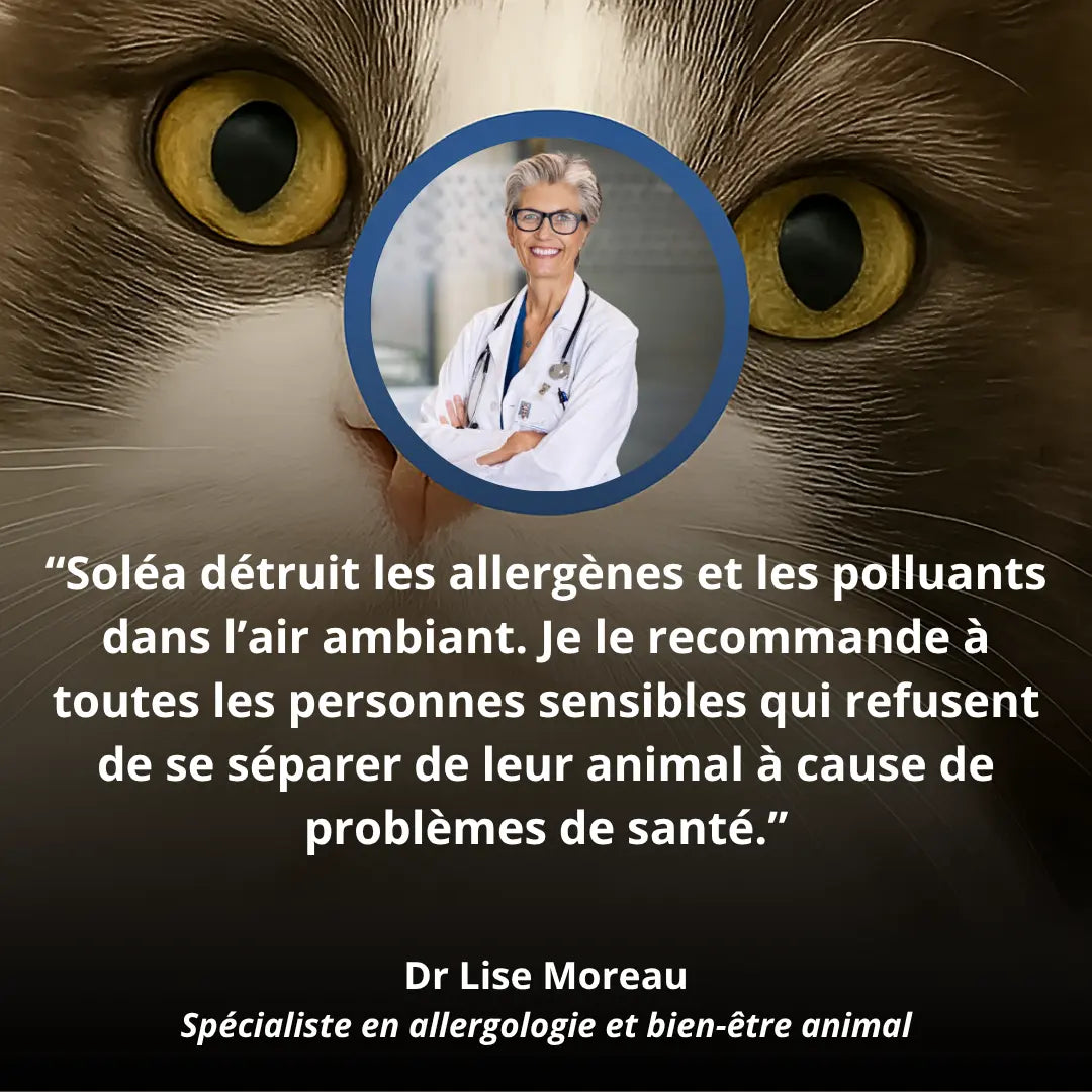 Soléa™ Ioniseur d'air