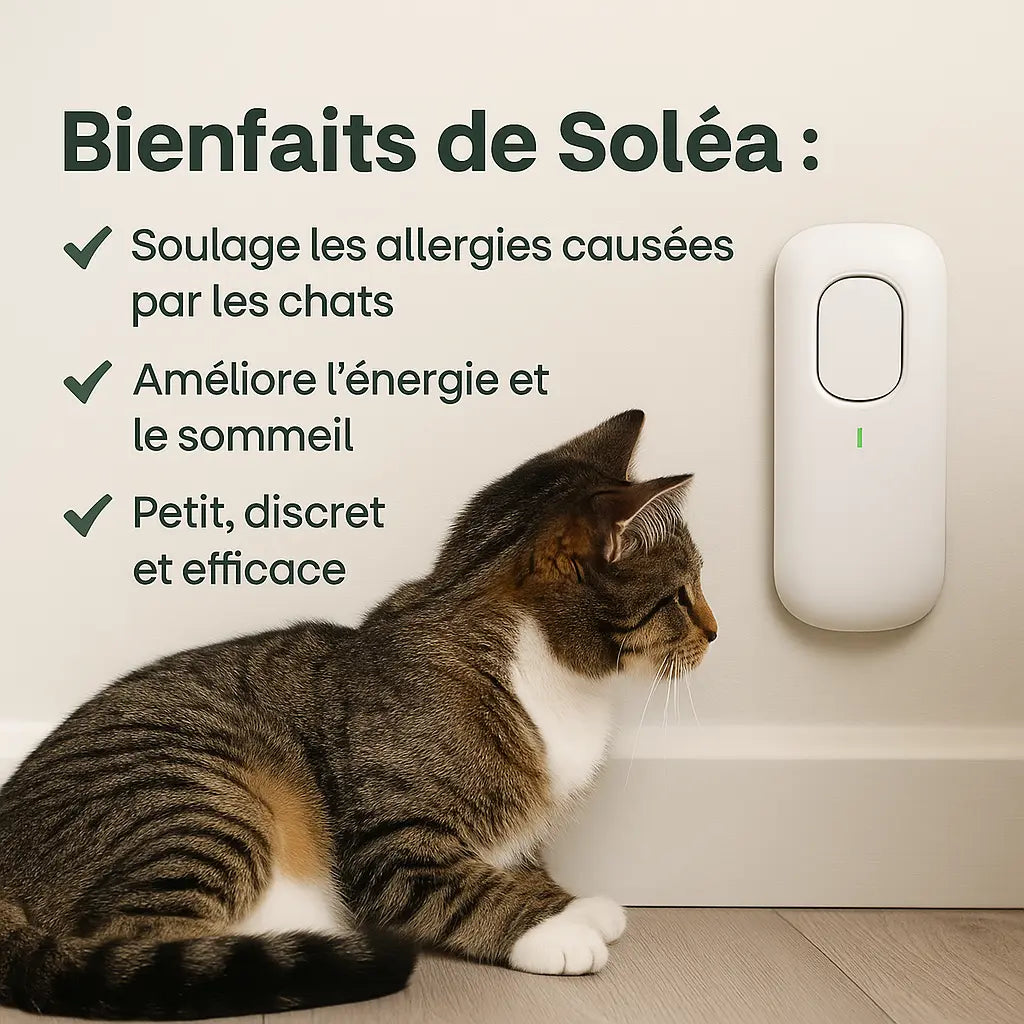 Soléa™ Ioniseur d'air